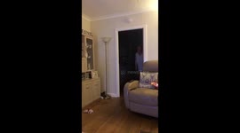 Blinded lights dance goes wrong at end