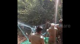 Forest officials rescue leopard stuck in wire mesh in southern India