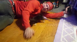 Tiny puppy thinks she's big