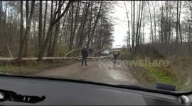 Tree fell on the road