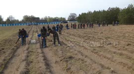 In Belarus, 2.5 million people went to the clean-up during the coronavirus