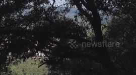 Foresta di Benetutti in Sardegna