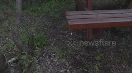 Montagne del centro sardegna - Goceano