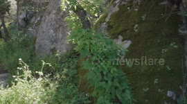 Foresta di Benetutti nel Goceano - Sardegna