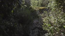 Visuali nella foresta di Benetutti in Sardegna