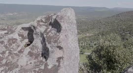 Foresta di Benetutti in Sardegna