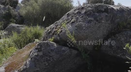 Visuali in Sardegna - Benetutti - Foresta