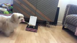 Cute dog painting