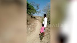 Snakes perform mating 'dance' in western India