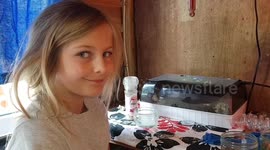 My 9 yr old daughter hatched her quail chicks  in lockdown