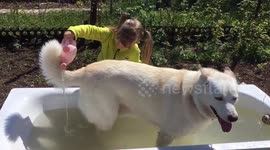 Little girl helps her dog to cool down