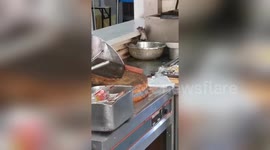 Rats spotted eating food in hospital's canteen in northern China