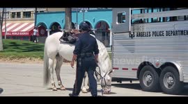 State of emergency woman and bikini talking to cops