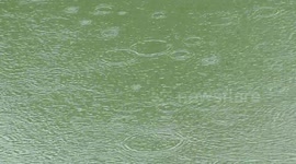 Relaxing raindrops falling on a pond, at the end of a shower.