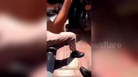 Snake climbs up Chinese man's trousers as he rests on outdoor chair