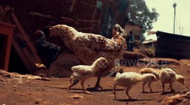 Life of people in Kibera during the coronavirus