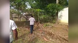 Man rescues snake trapped in net in southern India