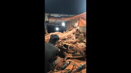 Vietnamese man sculpts wood into arowana fish masterpiece