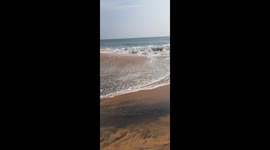 Amazing beach view