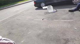 2nd part of badger video