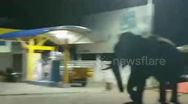 Cheeky elephant steals watermelon from shop, flees spot in southern India