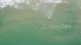 Surfers and swimmers hit the sand after Bondi Beach reopens in Sydney