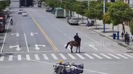 Man rides horse among vehicles on Chinese road