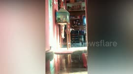 Owner surprises his cat while it tries to steal fish from the aquarium in southern India