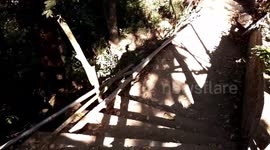 Go Down In Forest - Dalat Vietnam