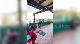 Former Italian footballer Marco Negri plays baseball on balcony during COVID-19 lockdown