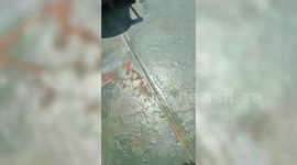 Sailors Give Water To Lost Bird That Landed On Ship