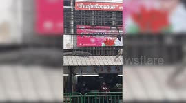 Wild monitor lizard sparks panic after climbing on shop awnings in Bangkok