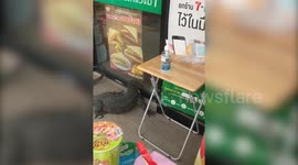Monitor lizard tries forcing its way into supermarket in search of food