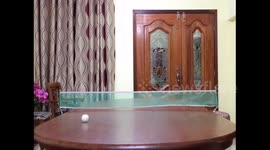 Epic table tennis move sees cup knocked over with nonchalant trick shot