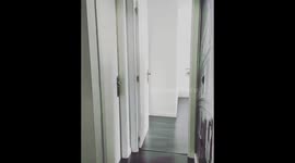 A guy from Spain showed what toilet paper is for (shocking video)