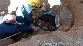 Firefighters rescue calf trapped in deep and narrow well after it fell in
