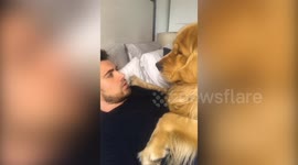Golden retriever 'mimics' owner's head movements