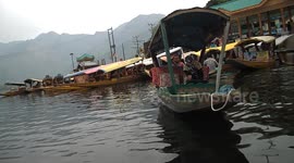 Kashmir