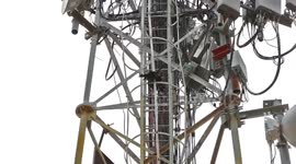 Cop rescues crow struggling on top of 100 foot tall network tower in Southern India