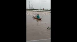 The men used boats to move the stubborn duck flock swim on the river to shore.