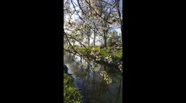 Nature in spring time