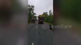 Hungry elephant raids goods truck, feasts on grains in eastern India