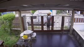 Courier takes extra care delivering parcel carrying it over and through metal gate