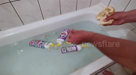 Practical joker feeds 'ducks' during the coronavirus lockdown in Bosnia