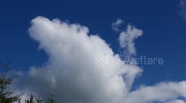 Fluffy white clouds in a clear blue sky that look like a swan / peacock / bird floating by