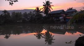 A tranquil sunrise over a pond, with reflections of coconut trees and birds singing.