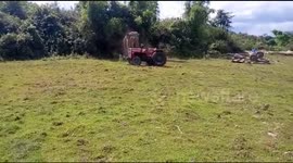 Wild elephant attacks tractor to protect its love interest