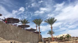 Sharks Bay Beach Red Sea