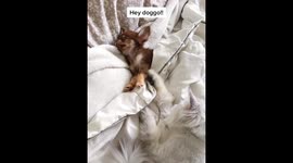 When it's Monday and you just can't wake up