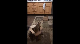 Get out of my box
